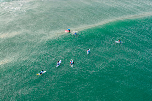 Ted Surf School